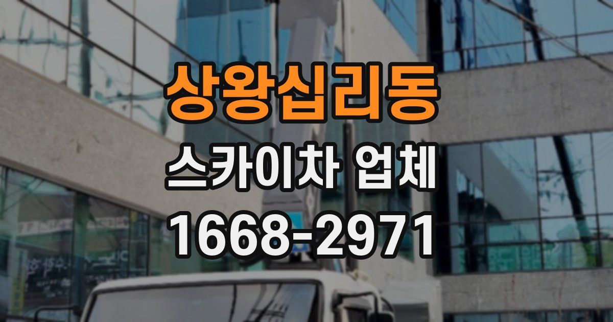 상왕십리동 스카이차 업체