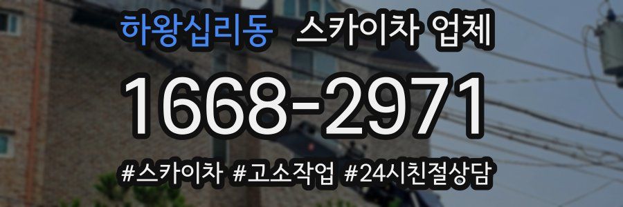 하왕십리동 스카이차 업체
