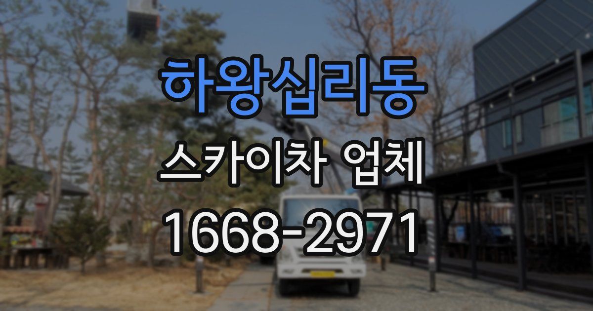 하왕십리동 스카이차 업체