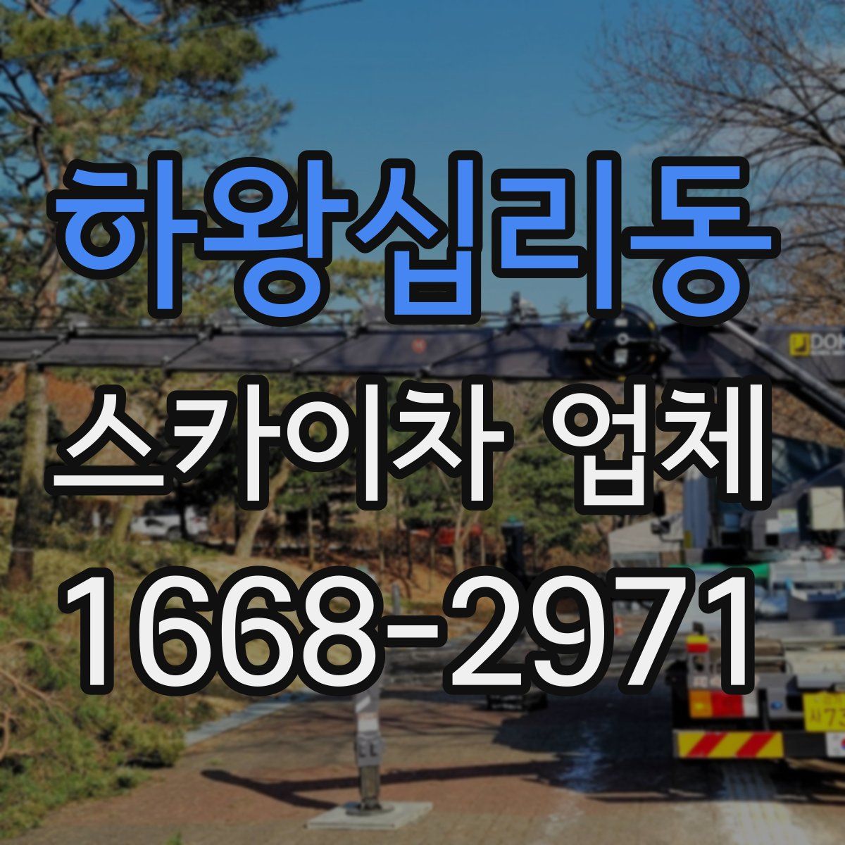 하왕십리동 스카이차 업체