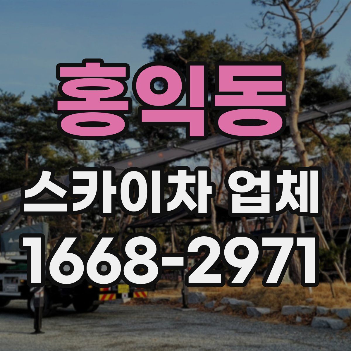 홍익동 스카이차 업체