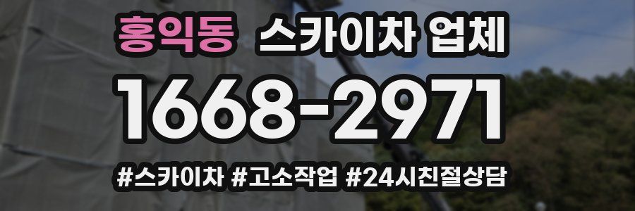 홍익동 스카이차 업체