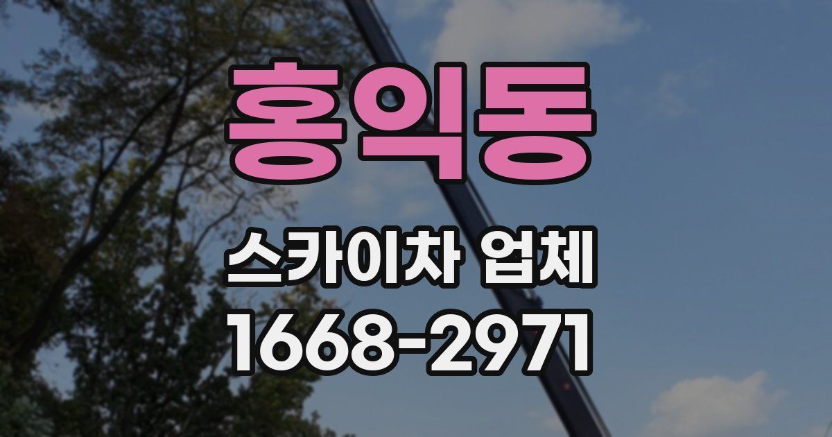 홍익동 스카이차 업체