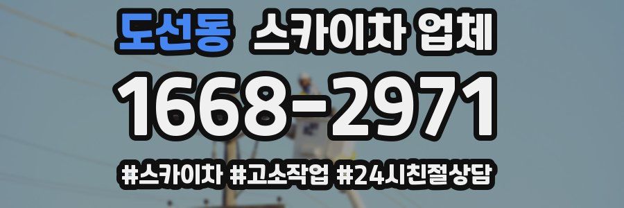 도선동 스카이차 업체
