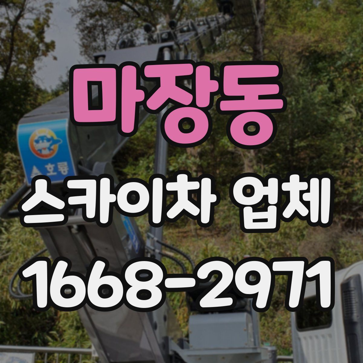 마장동 스카이차 업체