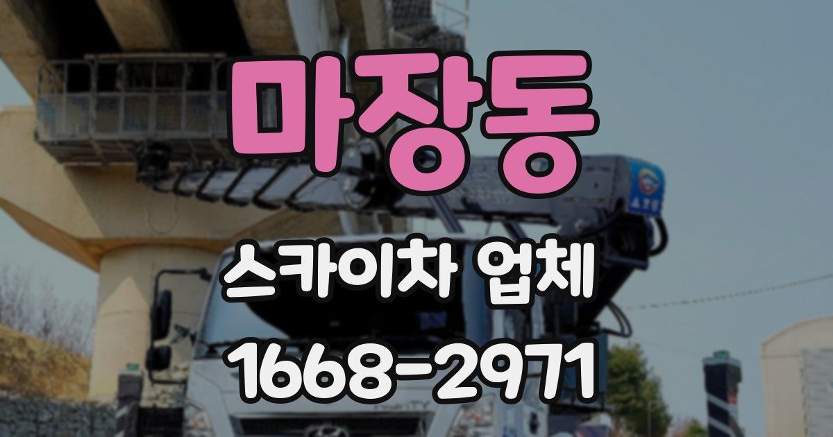 마장동 스카이차 업체