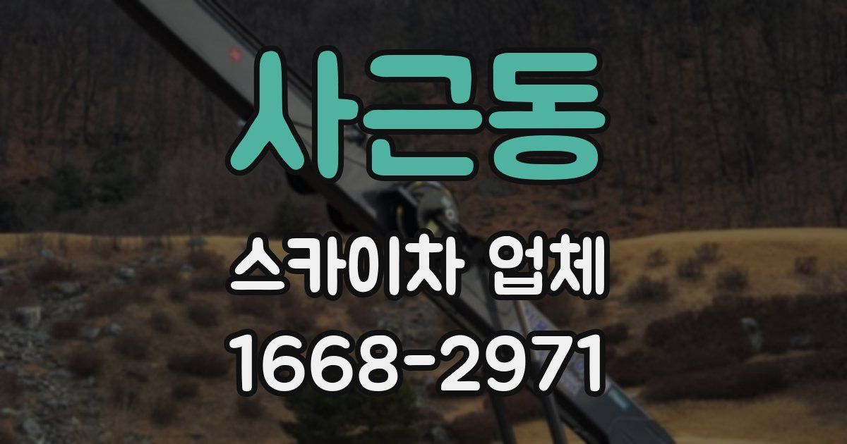 사근동 스카이차 업체