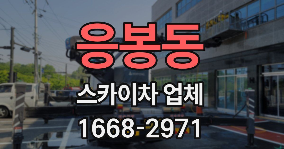 응봉동 스카이차 업체
