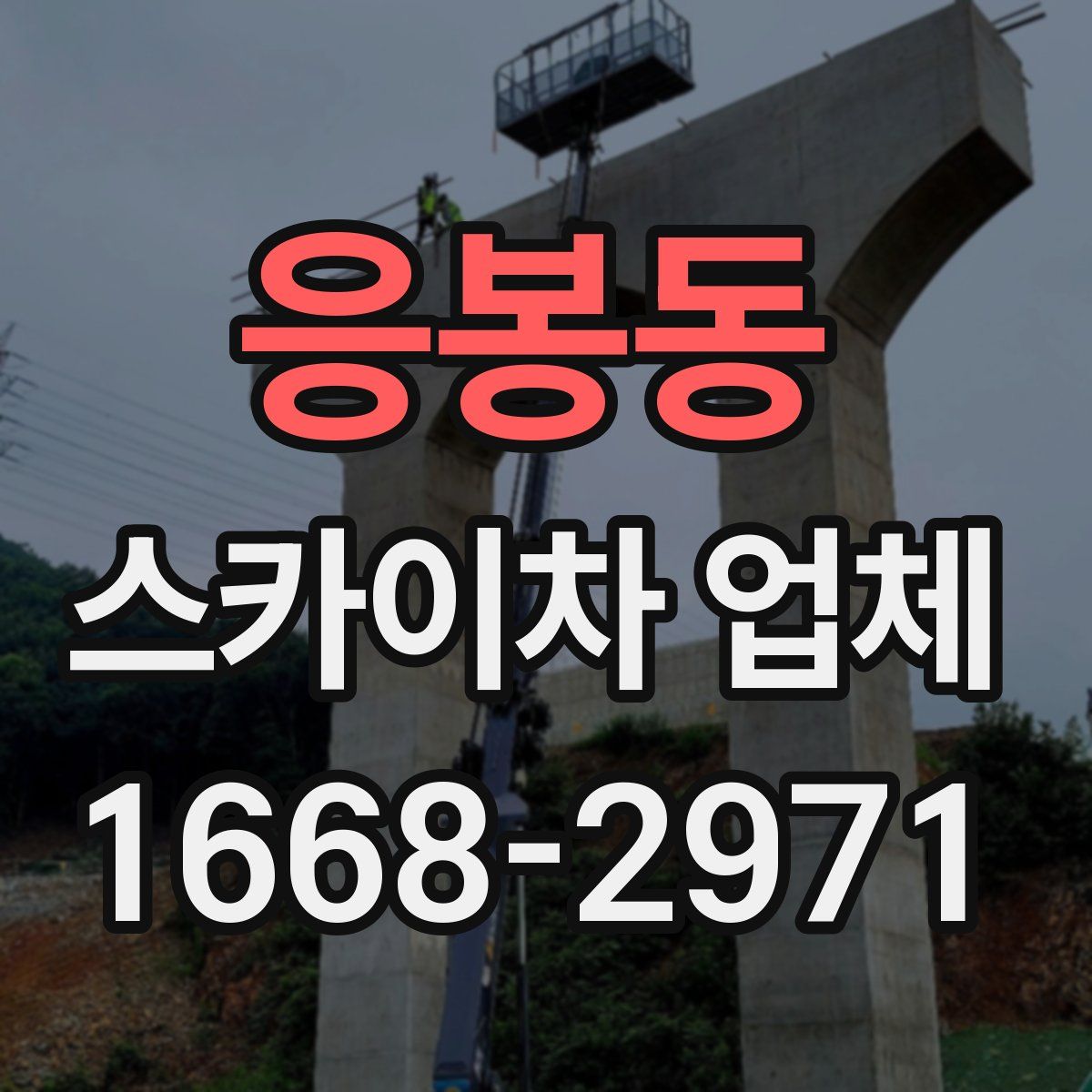 응봉동 스카이차 업체