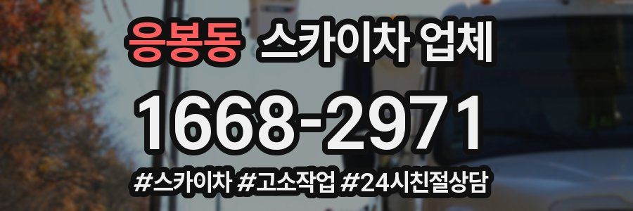 응봉동 스카이차 업체