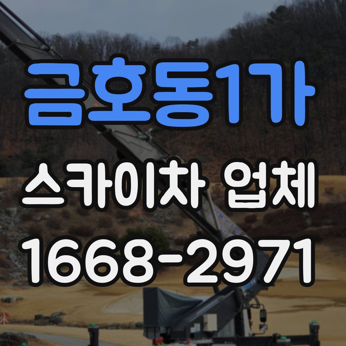 금호동1가 스카이차 업체