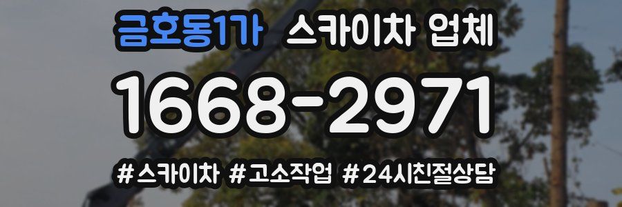 금호동1가 스카이차 업체