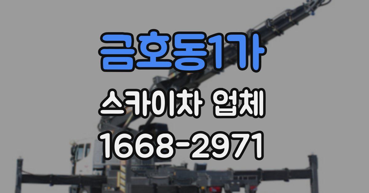 금호동1가 스카이차 업체