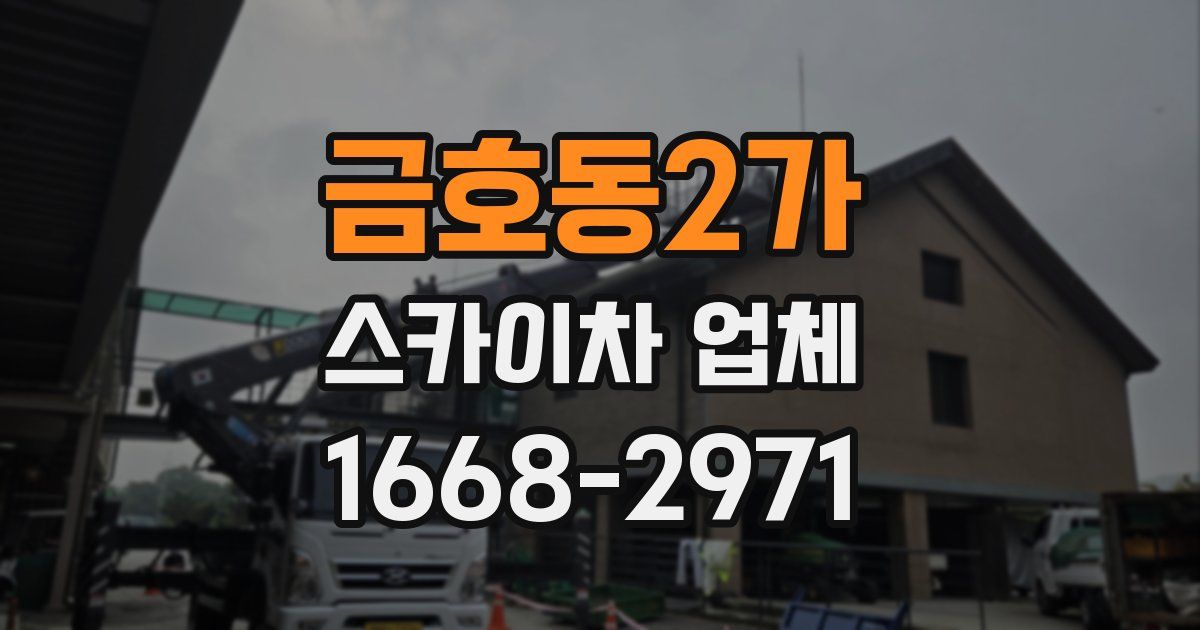 금호동2가 스카이차 업체