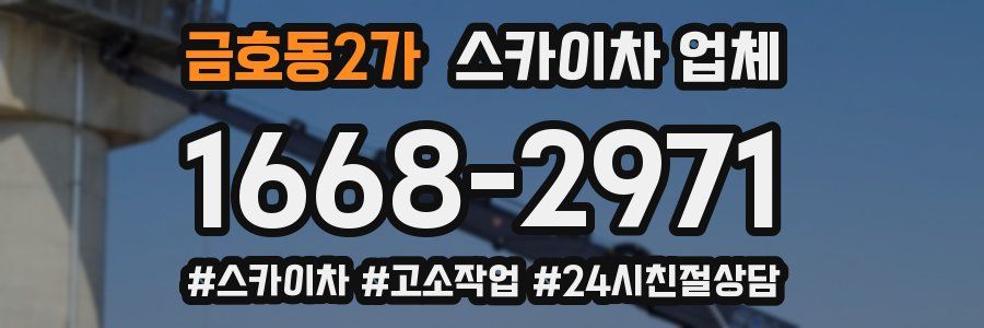 금호동2가 스카이차 업체