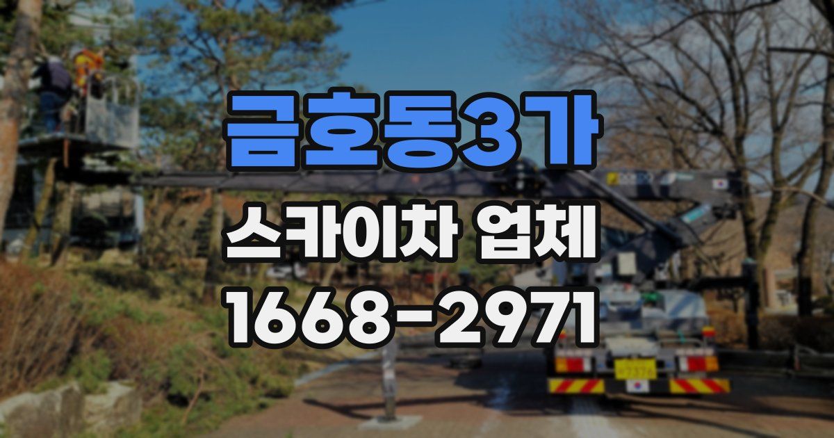 금호동3가 스카이차 업체