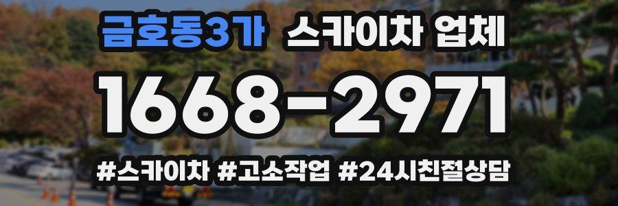 금호동3가 스카이차 업체