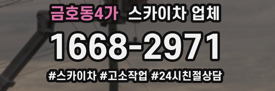 금호동4가 스카이차 업체