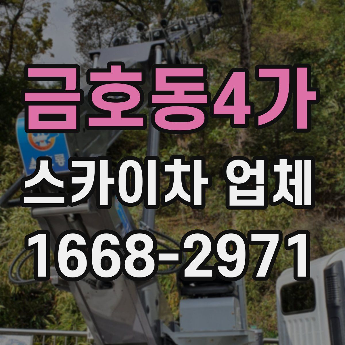 금호동4가 스카이차 업체