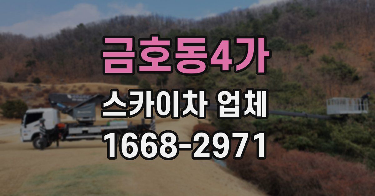 금호동4가 스카이차 업체