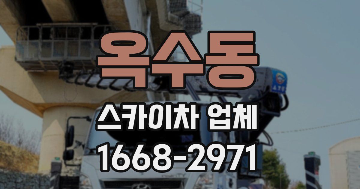 옥수동 스카이차 업체