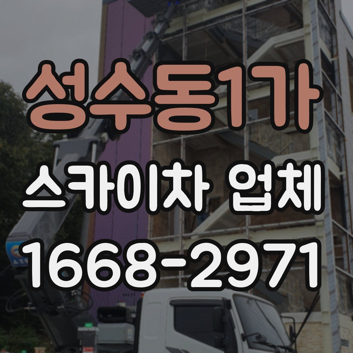 성수동1가 스카이차 업체