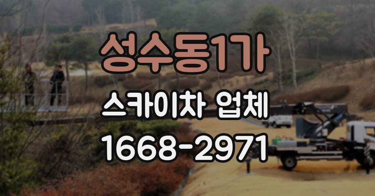 성수동1가 스카이차 업체