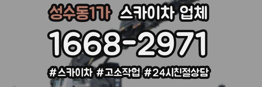 성수동1가 스카이차 업체