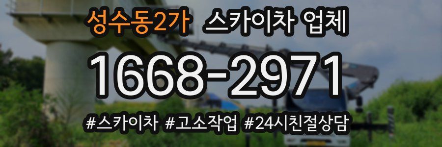 성수동2가 스카이차 업체