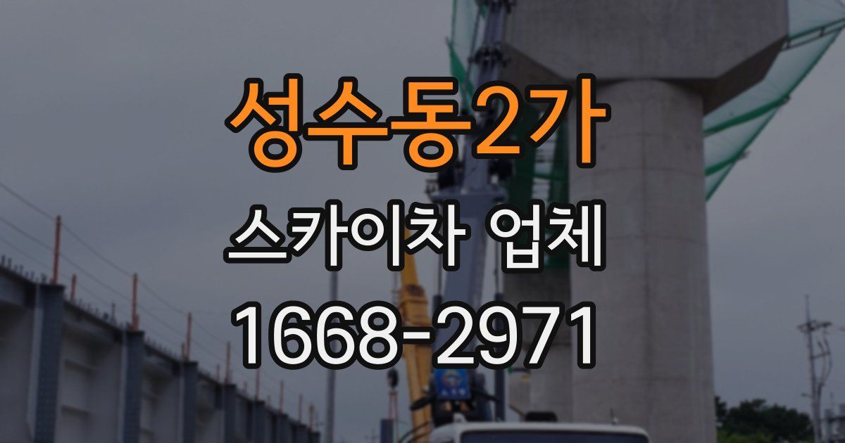 성수동2가 스카이차 업체