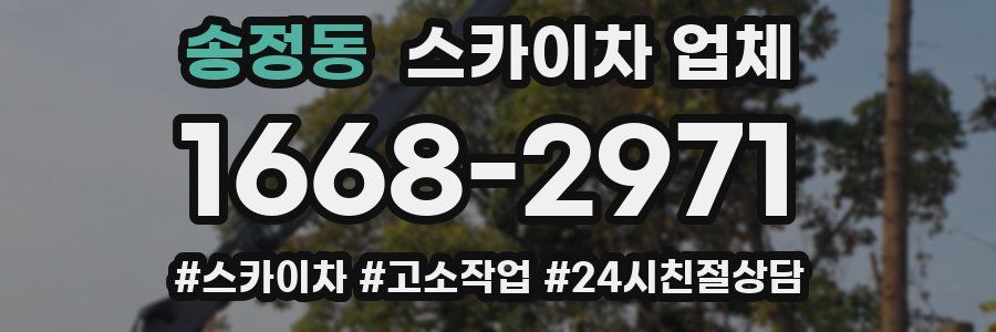 송정동 스카이차 업체