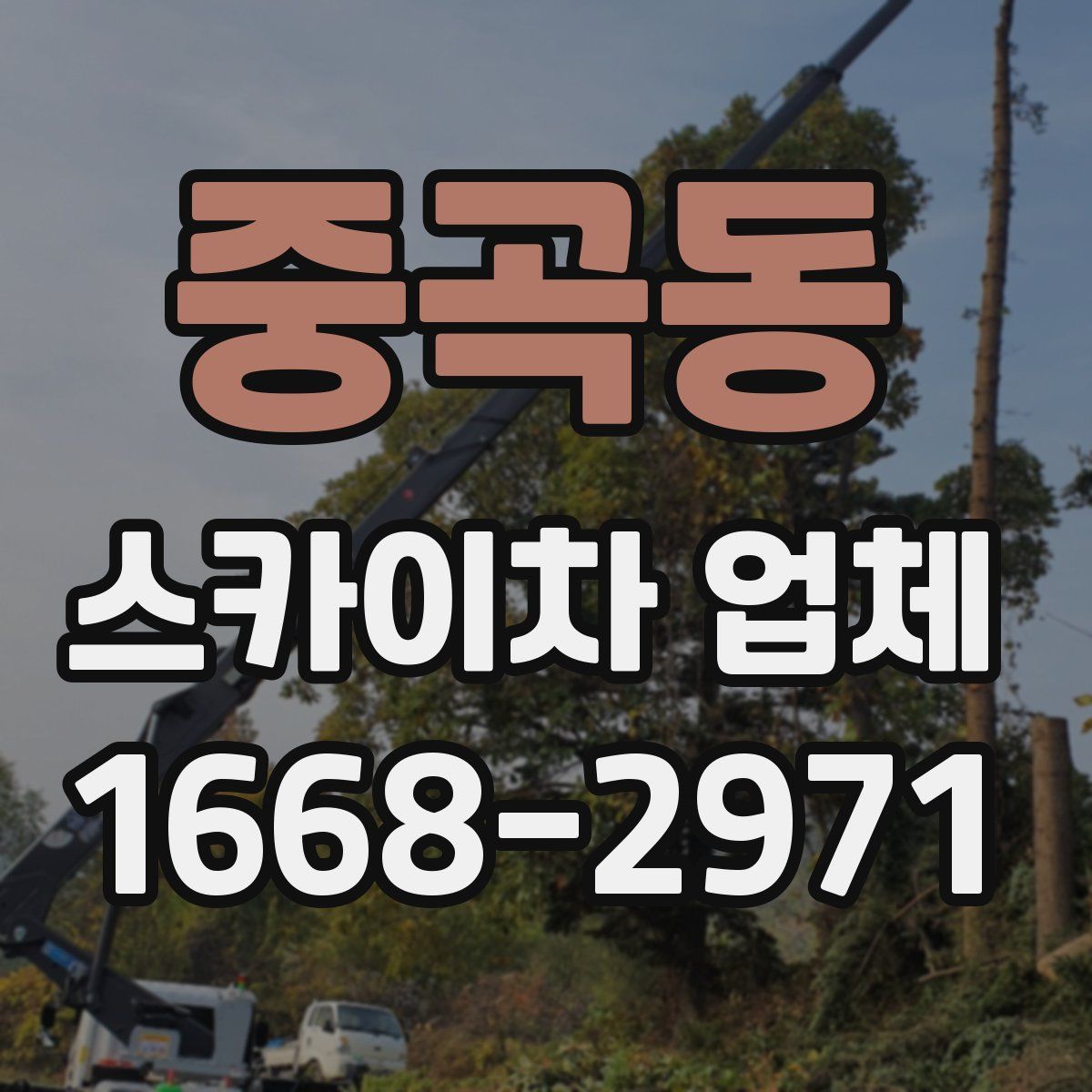 중곡동 스카이차 업체