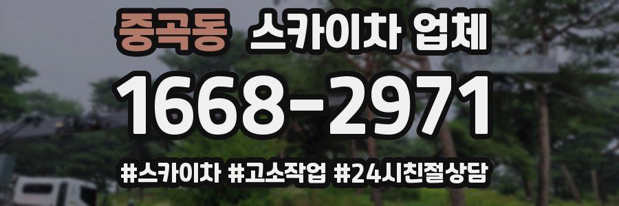 중곡동 스카이차 업체