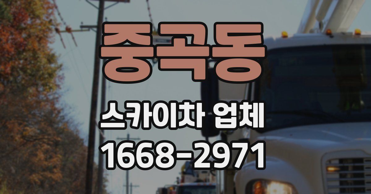 중곡동 스카이차 업체