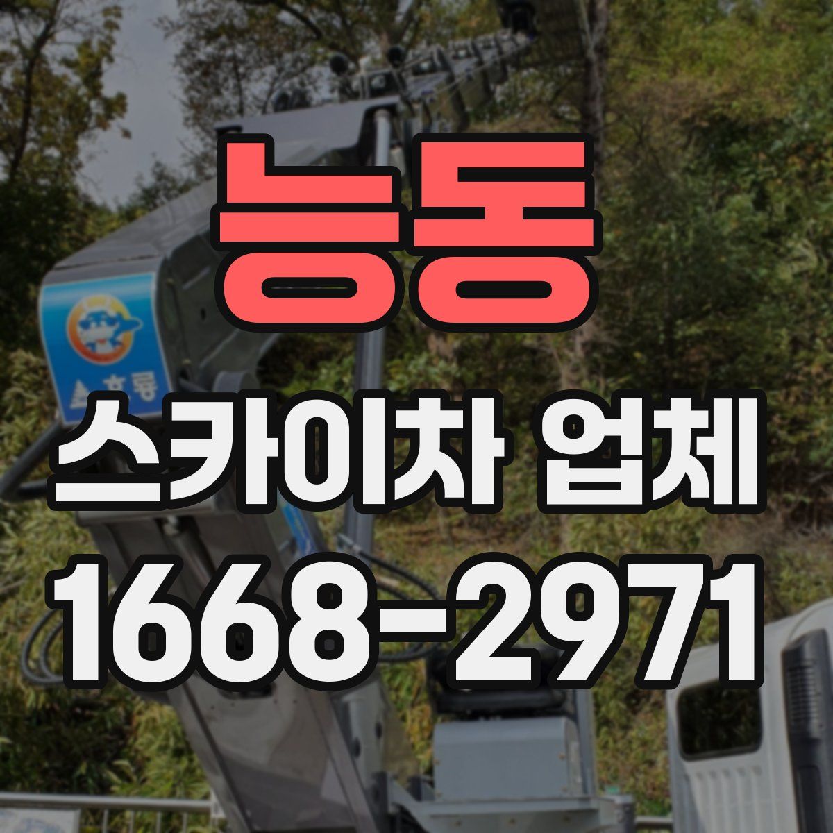 능동 스카이차 업체