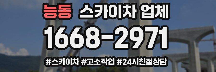 능동 스카이차 업체