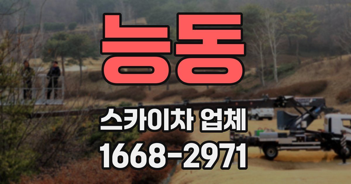 능동 스카이차 업체