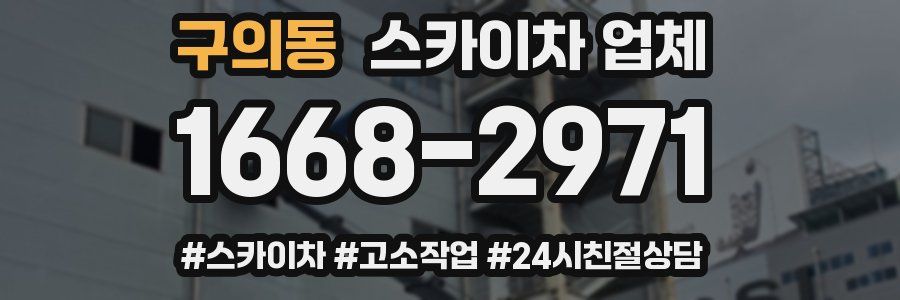 구의동 스카이차 업체