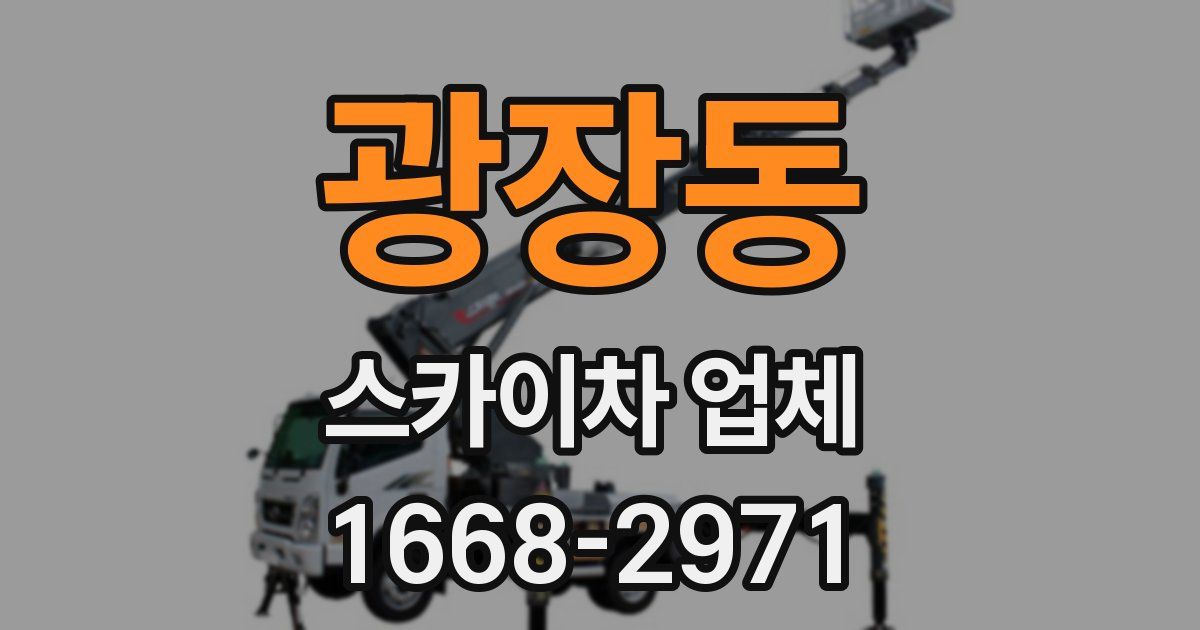 광장동 스카이차 업체