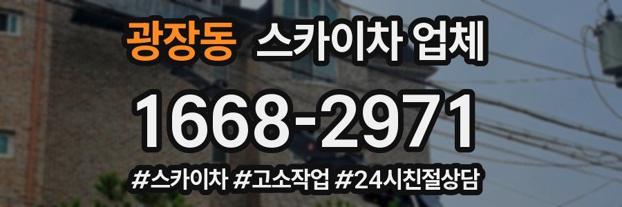 광장동 스카이차 업체