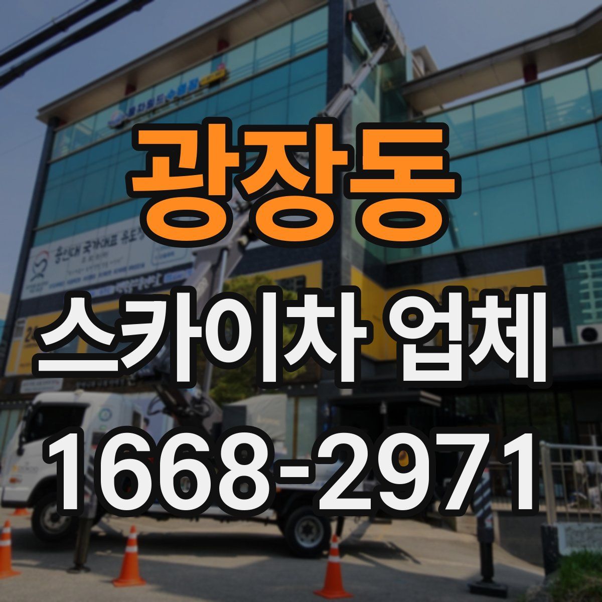 광장동 스카이차 업체