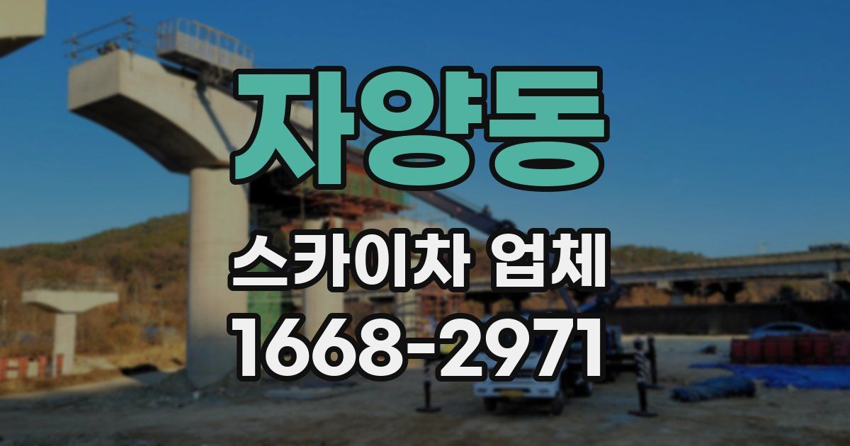 자양동 스카이차 업체