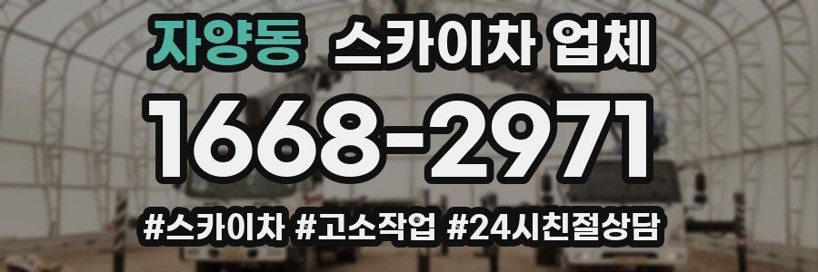 자양동 스카이차 업체