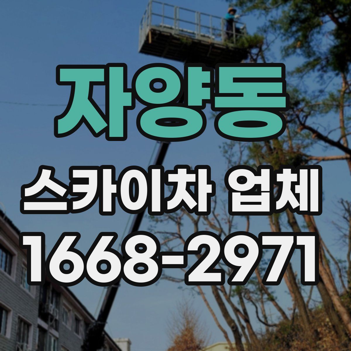 자양동 스카이차 업체