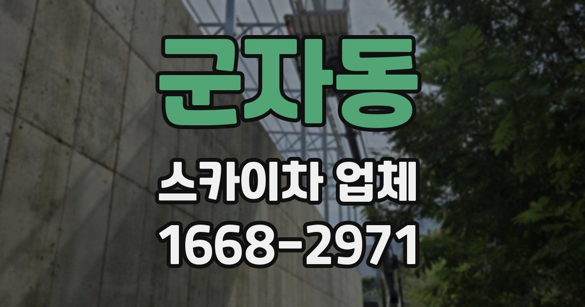 군자동 스카이차 업체