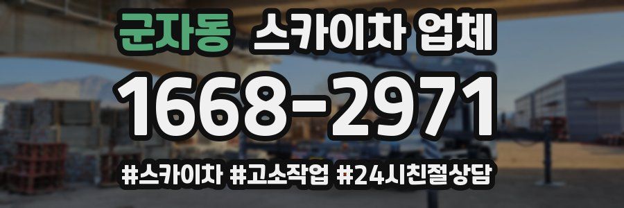 군자동 스카이차 업체