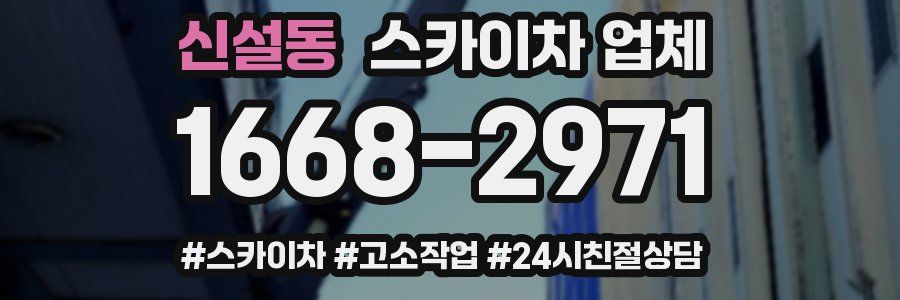 신설동 스카이차 업체