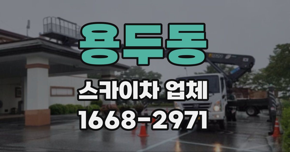 용두동 스카이차 업체