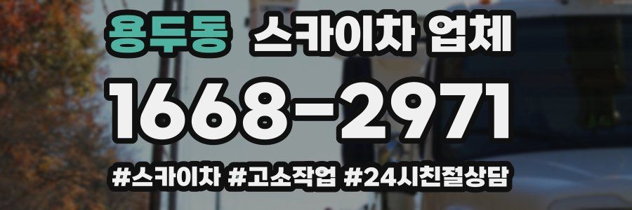 용두동 스카이차 업체