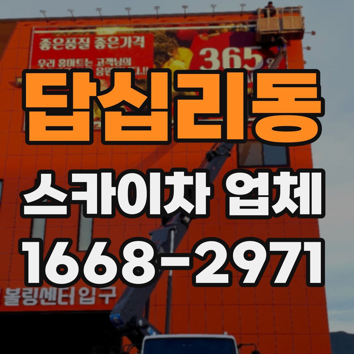 답십리동 스카이차 업체